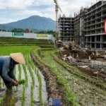 Photo ilustrasi sawah dan bangunan beton, sudut kanan bupati gus par